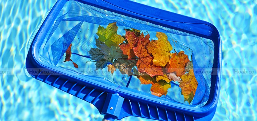 Hình ảnh vợt rác bể bơi SPS