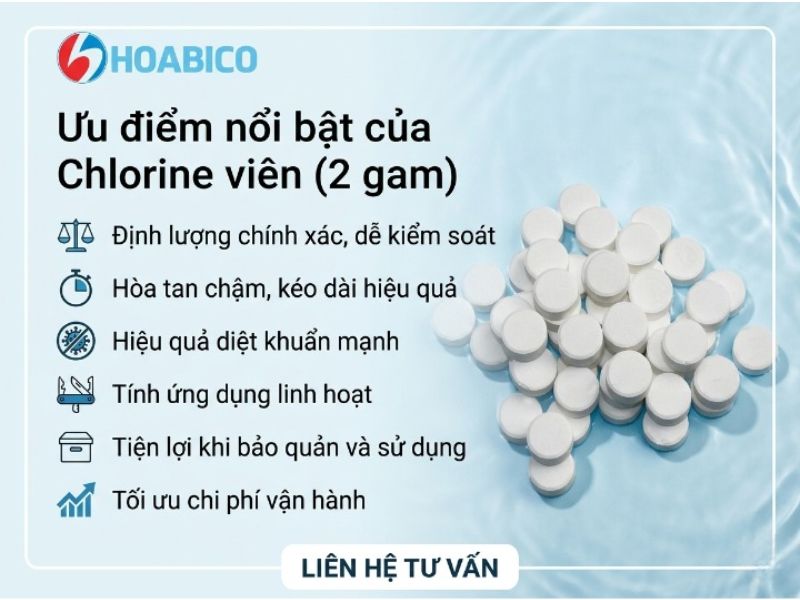 Chlorine viên (2 gam)