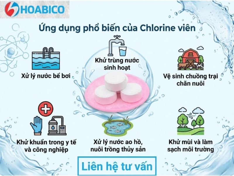Chlorine viên (2 gam)