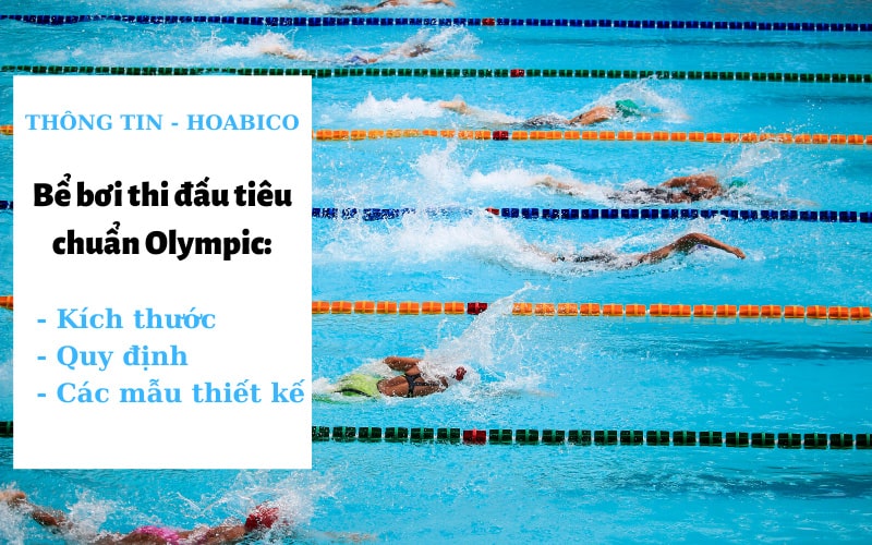 Tìm hiểu về bể bơi thi đấu tiêu chuẩn Olympic - Hoabico