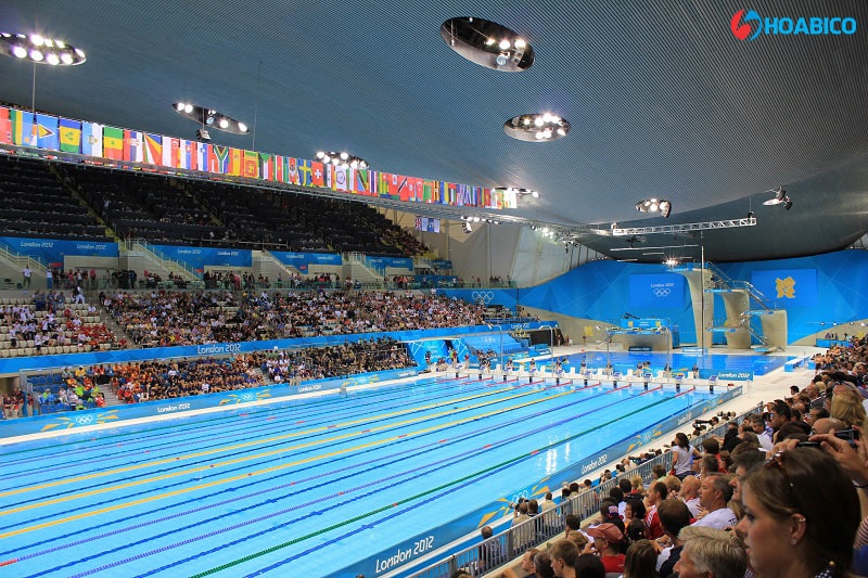 Bể bơi thi đấu tiêu chuẩn Olympic tại ( Olympic London 2012)