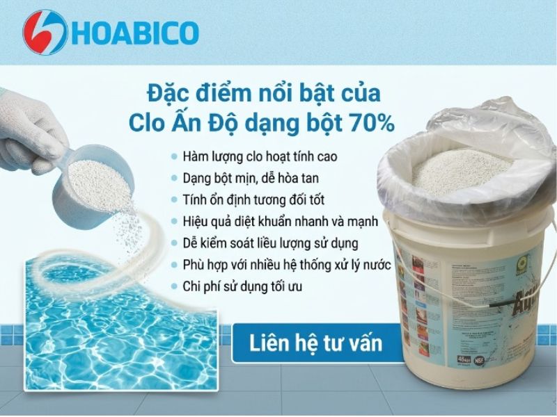 Clo Ấn Độ dạng bột 70%