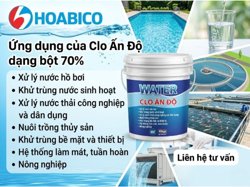 Clo Ấn Độ dạng bột 70%
