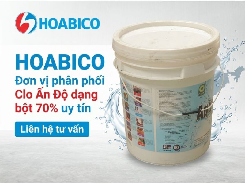 Clo Ấn Độ dạng bột 70%