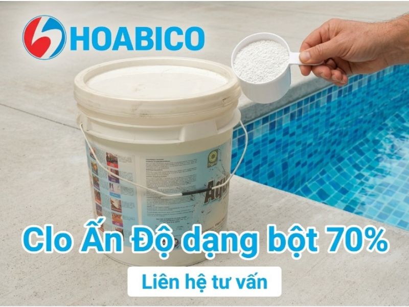 Clo Ấn Độ dạng bột 70%