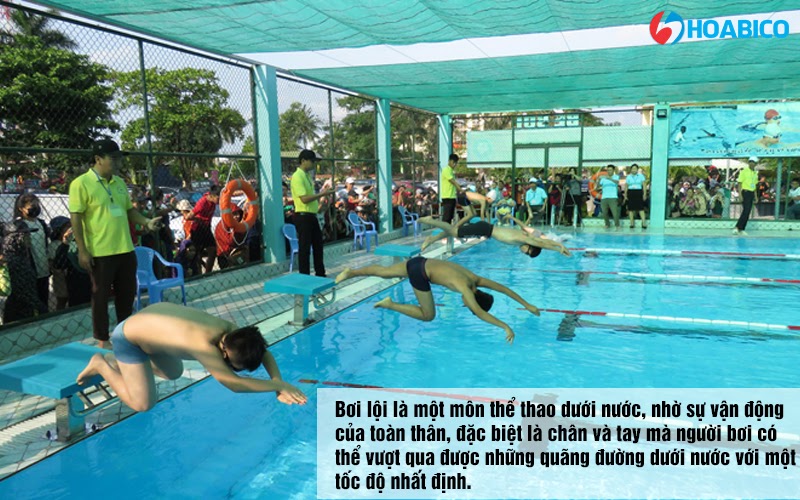 Khái niệm cơ bản về bơi lội