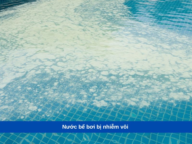Nước bể bơi bị nhiễm vôi 