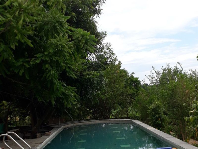 Hoabico bàn giao công trình thi công bể bơi cho anh Khoa tại Thành Phố Huế