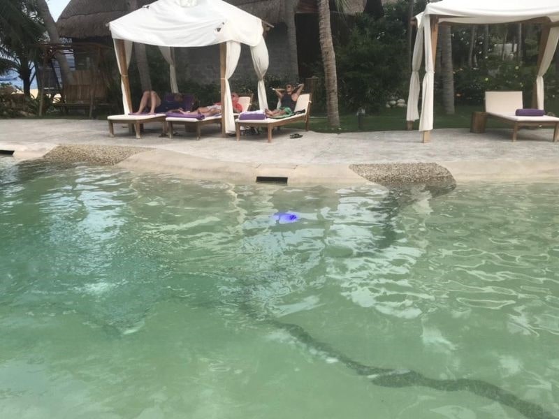 Hoabico bàn giao công trình thi công bể bơi cho chị Phương tại Quy Nhơn