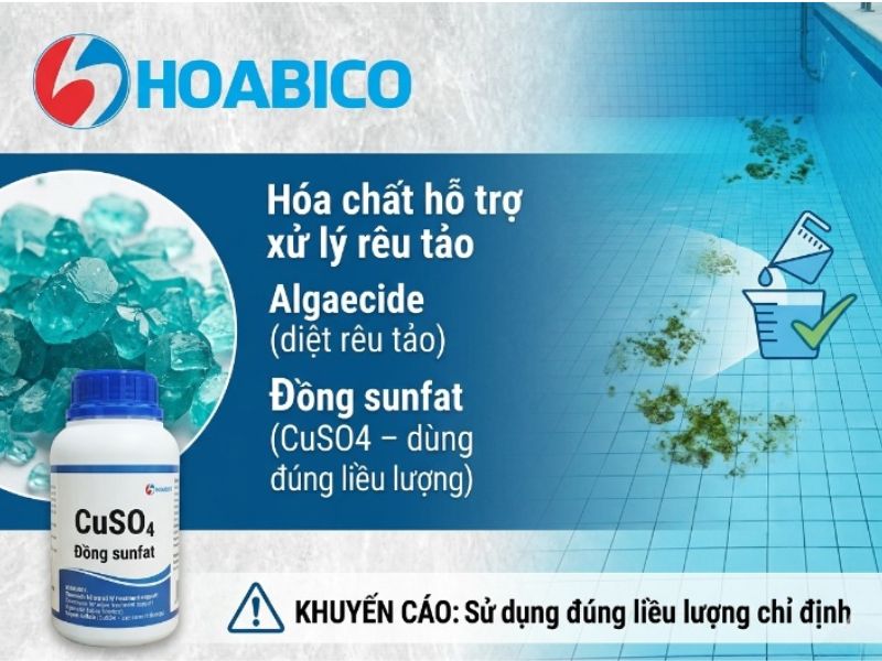 hóa chất xử lý nước cấp bể bơi