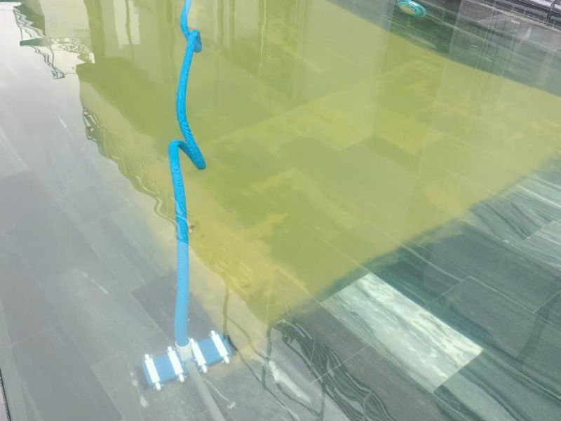 Hoabico bàn giao vệ sinh bể bơi tại Hải Phòng