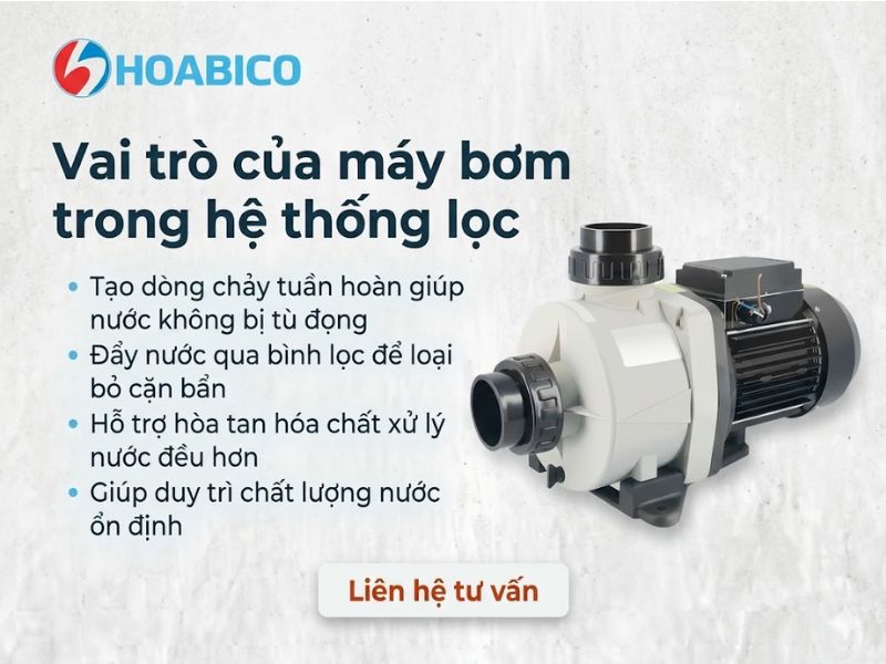 Máy bơm bể bơi