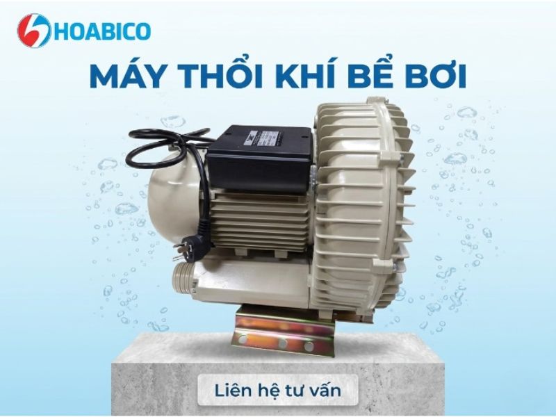 Máy thổi khí bể bơi 