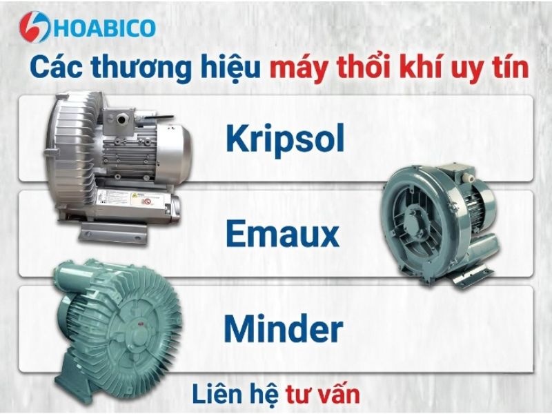 Máy thổi khí bể bơi 