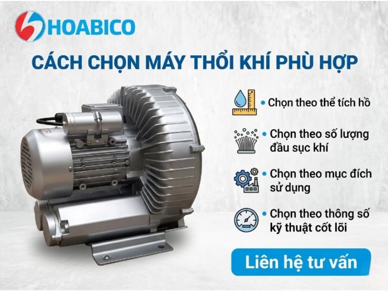 Máy thổi khí bể bơi 