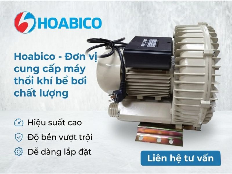 Máy thổi khí bể bơi 