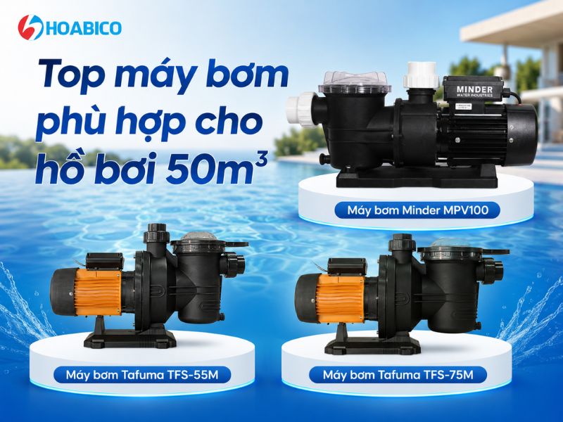 Hồ bơi 50m3 dùng máy bơm nào