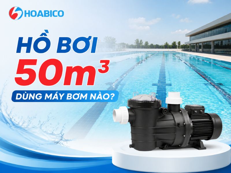 hồ bơi 50m3 dùng máy bơm nào