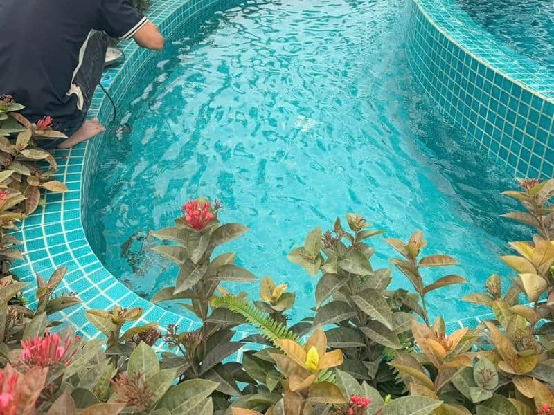 Hoabico bàn giao công trình thi công bể bơi tại Bắc Giang