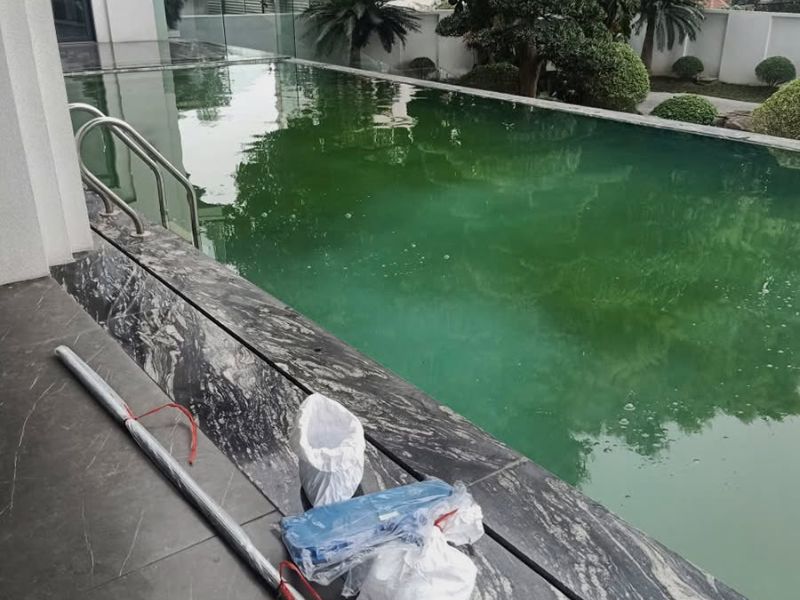 Hoabico bàn giao dự án vệ sinh bể bơi cho anh Hùng tại Sơn Tây